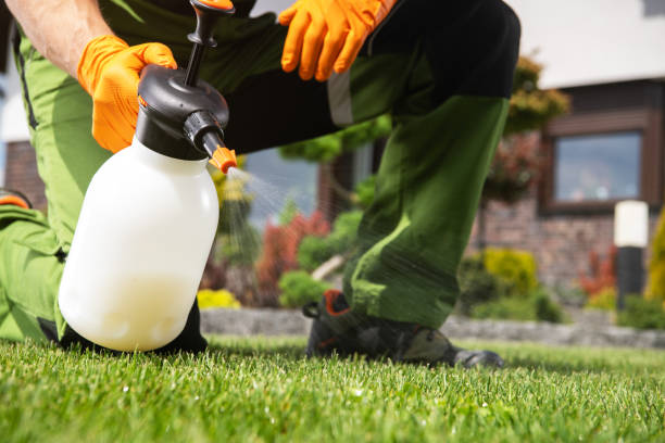 Best Exterminator Services  in Adrian, MN