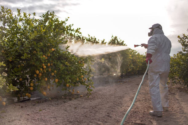 Best Affordable Pest Control Services  in Adrian, MN