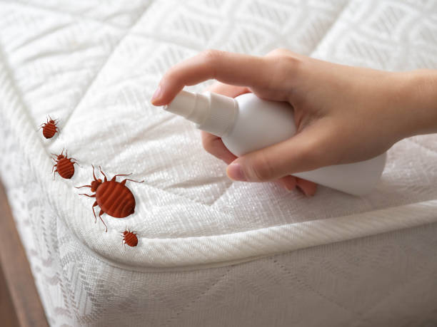 Best Pest Prevention Services  in Adrian, MN